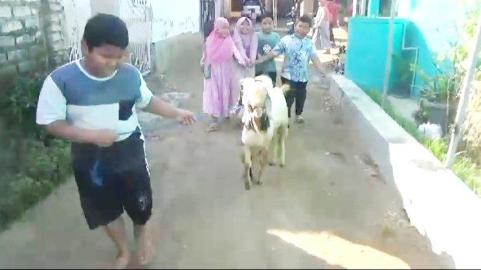 Keceriaan Mirza Ukail Arfia (8) menuntun hewan kurban kambing miliknya dari hasil pecah celengan mewarnai suasana pagi Hari Raya Idul Adha di Jalan Pahlawan, Dusun Manggisan, Desa/Kecamatan Burneh, Kabupaten Bangkalan, Senin (17/6/2024).