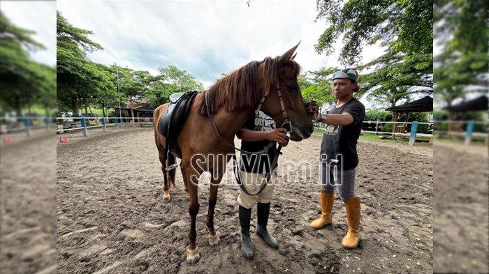 ASYIK BERKUDA - Pelatih, Umar Abu Faruq saat mengajarkan salah satu pengunjung untuk berkuda di Wisata Berkuda Sumber Tawang Stable Horse Riding, Pare, Kediri, Rabu (29/1/2025). Wisata Berkuda Sumber Tawang Stable Horse Riding yang berlokasi di Jalan Cisadane No.99, Sumberbendo, Kecamatan Pare, Kabupaten Kediri menawarkan pengalaman berkuda yang edukatif dan terjangkau bagi semua kalangan.