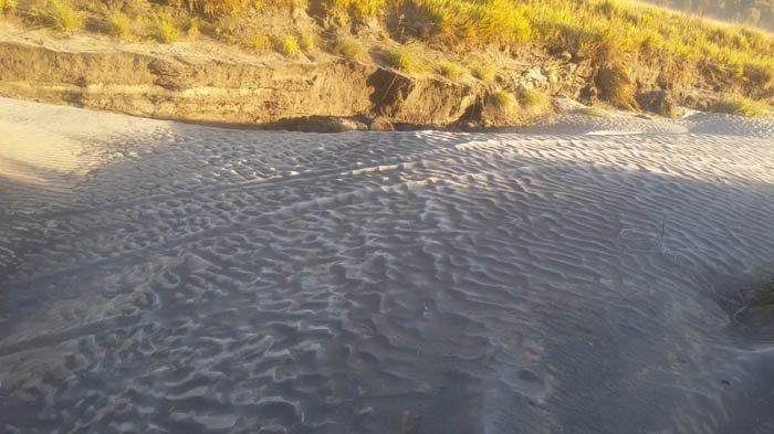 Lautan pasir Gunng Bromo yang diseliumuti embun upas saat suhu dingin pada musim kemarau ini