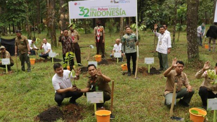 LG Indonesia Salurkan 15 Ribu Bibit Tanaman untuk Dukung Pelestarian ...