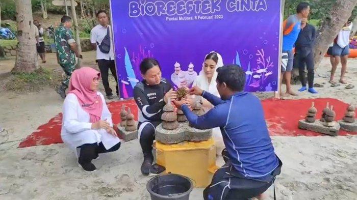 Jaga Ekosistem Laut Trenggalek, Bupati Mas Ipin Tanam Terumbu Karang ...