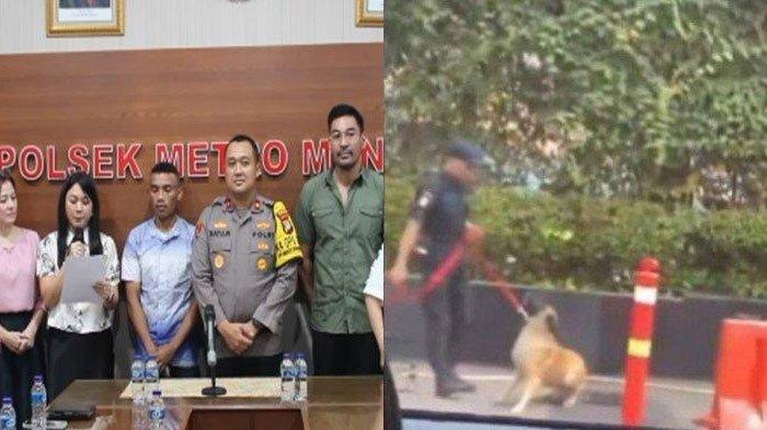 Akhir Bahagia Sekuriti Pukul Anjing di Plaza Indonesia yang Viral, Nasarius Tak jadi Dipecat