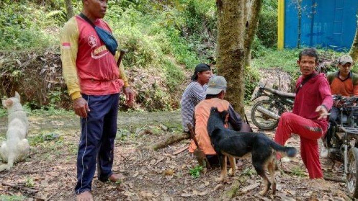 Pemdes Karangturi, Kecamatan Munjungan, Kabupaten Trenggalek Membeli Kawanan Anjing untuk berburu babi hutan yang sering kali menyerang lahan pertanian warga. Rupanya, ada alasan lain Pemdes Karangturi Trenggalek membeli anjing, yakni meningkatkan pendapatan asli desa (Pendes).