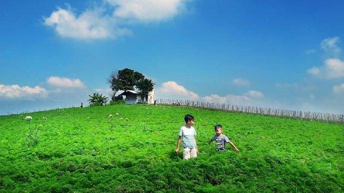 Bukit Jengkoang merupakan salah satu wisata tempat wisata hits di Malang