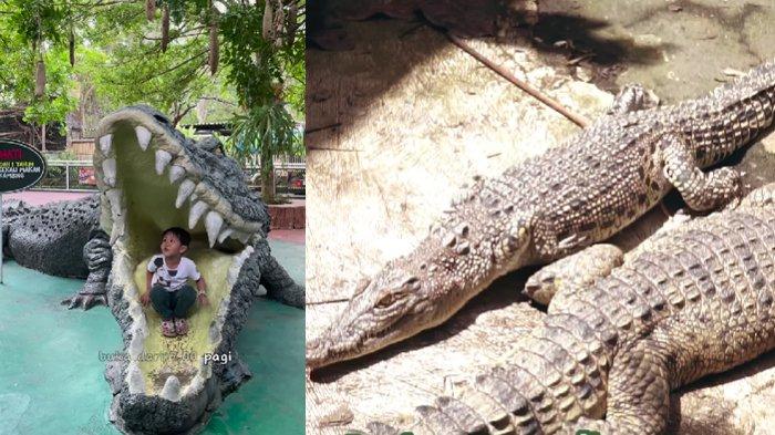 Daftar wahana Predator Fun Park di Malang Raya 1