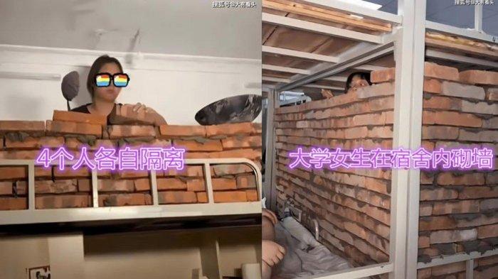 Gadis bangun tembok di sekeliling tempat tidur malas interaksi dengan teman