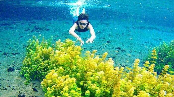 Keindahan wisata Sumber Sirah Malang yang airnya sejernih kaca
