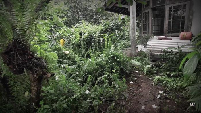 Kondisi pekarangan rumah Pak Usman