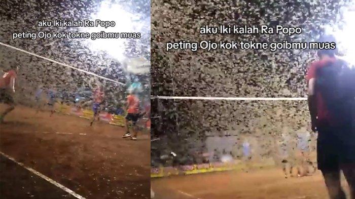 Laron mengerubungi pemain voli yang sedang tanding 1