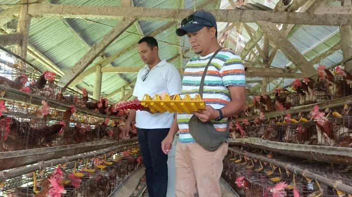 M Sahroni Spt, Kades Mendalanwangi, Kecamatan Wagir (baju putih) berada di kandang ayamnya, yang bikin dirinya bangga karena bisa membuka lapangan pekerjaan buat warganya.