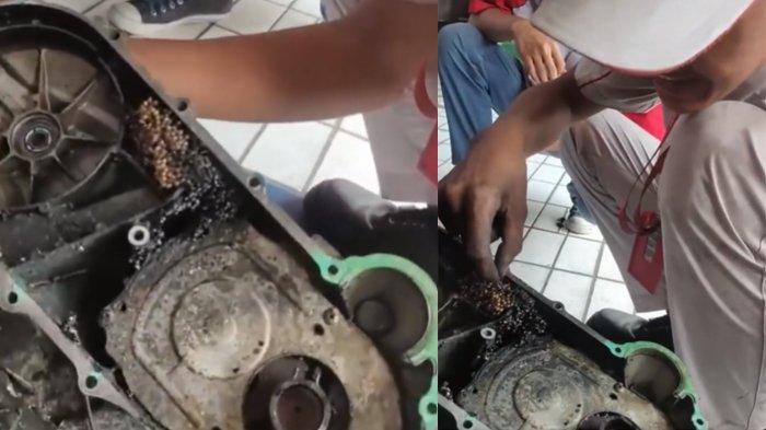 Mesin motor jadi saran tawon setelah dibuka seorang mekanik viral 1