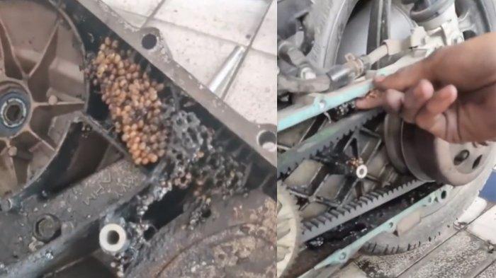Mesin motor jadi saran tawon setelah dibuka seorang mekanik viral 2