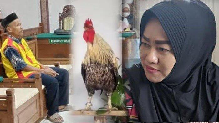 Nasib Kakek Suyatno Dilaporkan Bu Kades Perkara Ayam Rp 4,5 Juta