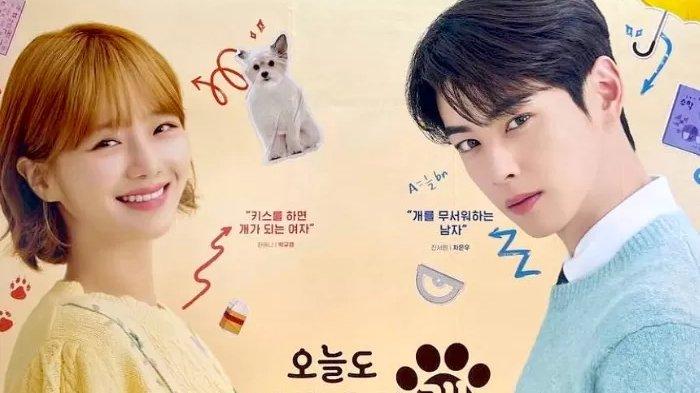 Nonton A Good Day to Be a Dog Sub Indo DIbintangi Cha Eun Woo