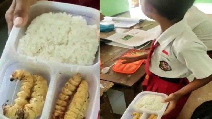 Penampakan bekal lauk ulat sagu yang dibawa siswa sd