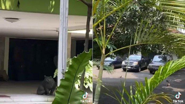 Potret bagian depan rumah Cendana.