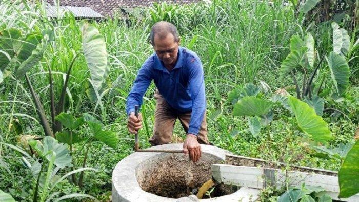  Proses pengadukan kotoran sapi yang sudah tercampur dengan air sebelum dimasukkan ke biogester, untuk memproduksi biogas (Tribun Jogja)