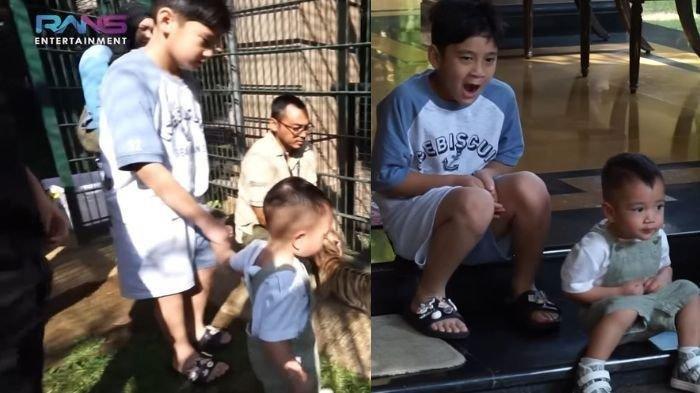 Rayyanza berani masuk kandang anak harimau, ajak Rafathar yang baru bangun tidur