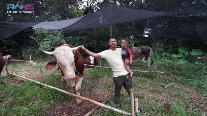 Rayyanza bersama Raffi Ahmad melihat sapi kurban yang dibeli pakai uangnya sendiri