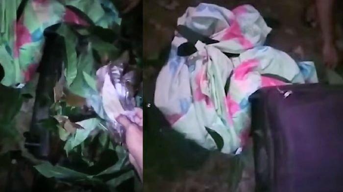 Sekoper daun yang awalnya disebut uang Rp 3 miliar 1