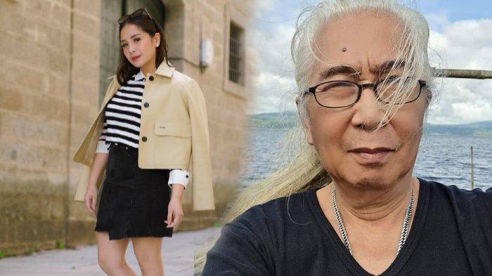 Sindiran Pengacara Gideon Tengker untuk Nagita Slavina, Kunjungi Orang tua Daripada Orang Lain