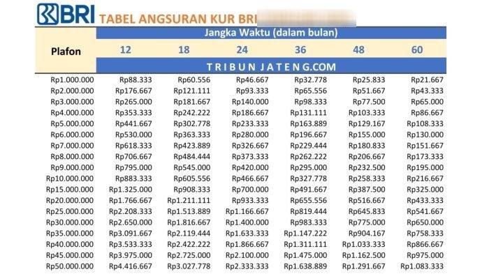  TABEL KUR BRI - Tabel pinjaman KUR BRI 2025 Rp 1 Juta - Rp 50 Juta 
 