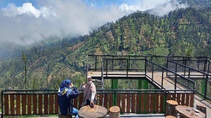 Suasana di Taman Edelweiss di Desa Wonokitri, Kecamatan Tosari, Kabupaten Pasuruan Jawa Timur, Sabtu (6/1/2023).