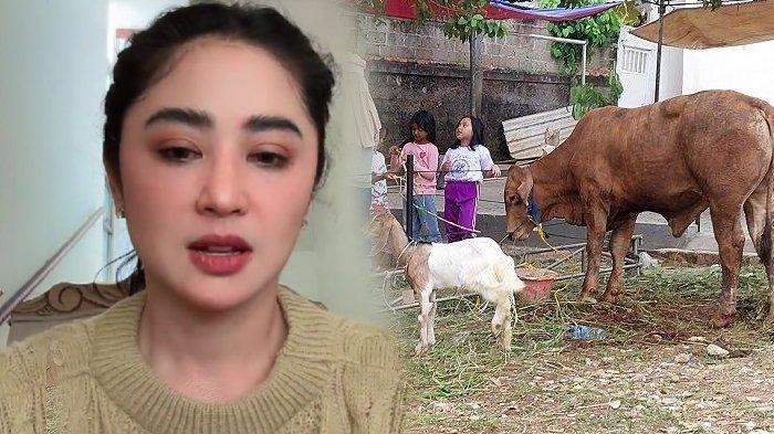 Tekat Dewi Perssik Laporkan RT Buntut Kisruh Sapi Kurban Dipalak Rp 100 Juta, Polsek Turun Tangan