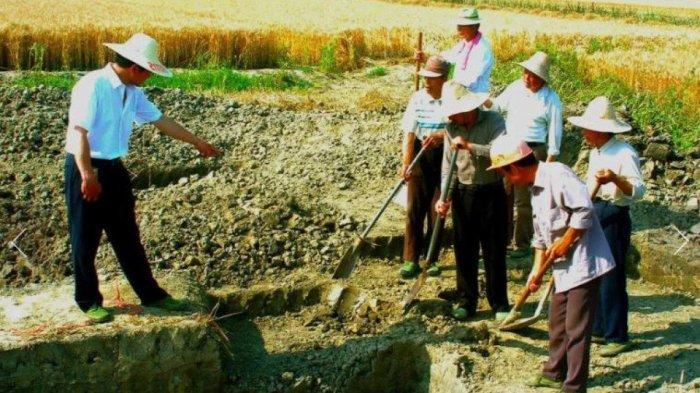 Viral Bocah SD Temukan Emas Saat Bermain di Ladang