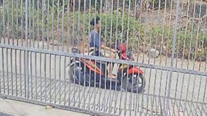 Viral Bocil di Ponorogo Curi Anak Kambing, Modusnya Pura-pura Salat Duhur di Musala