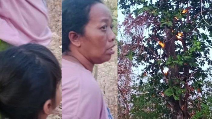 Warga menyaksikan pohon mengeluarkan api di Sumenep