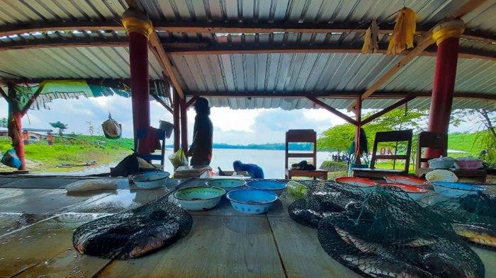 Wisata Dempok Malang Liburan Murah Meriah, Keliling Naik Perahu dan Spot Favorit Pemancing 1