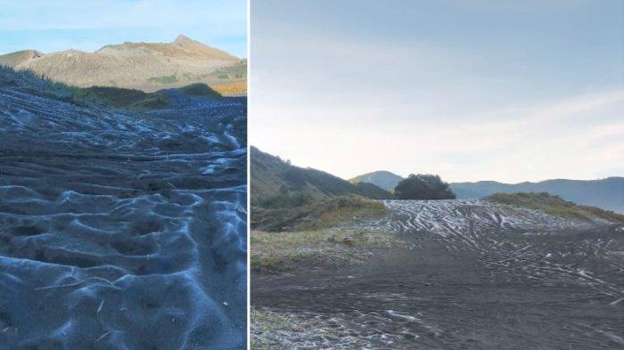 Kondisi pasir di kawasan Bromo yang diselimuti butiran es atau embun upas akibat suhu yang rendah.