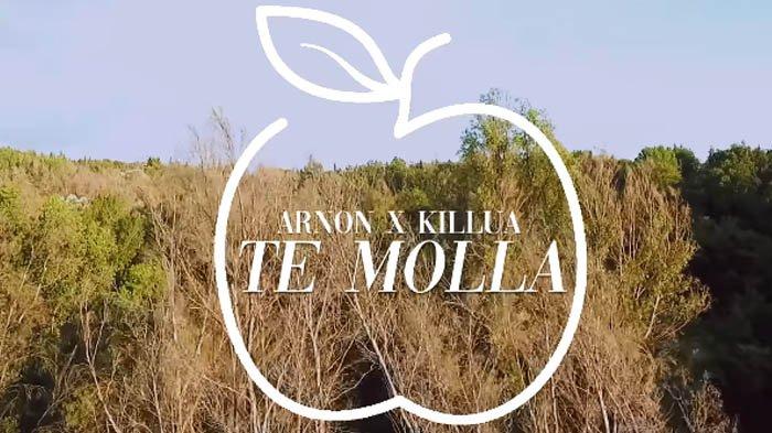 Lirik Lagu Te Molla - ARNON feat Killua dengan Terjemahanya, Populer ...