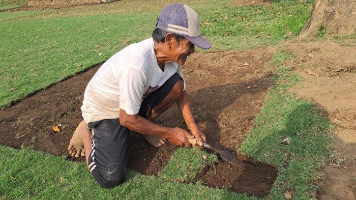 Suhartono, saat panen rumput hasil budidayanya di Desa Kidangbang, Kecamatan Wajak, Kabupaten Malang, Minggu (9/6/2024)