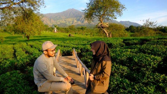 Menunggu Matahari Terbit di Bukit Kuneer, Kabupaten Malang - Halaman all -  Suryamalang.com