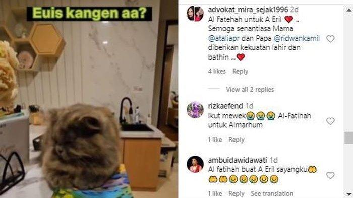 Atalia Praratya tunjukkan kucing kesayangan Eril
 