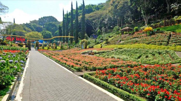 Taman Rekreasi Selecta Kota Batu yang sepi oleh pengunjung. Manajemen masih belum membuka diri karena adanya larangan anak usia di bawah 12 tahun masuk tempat wisata.