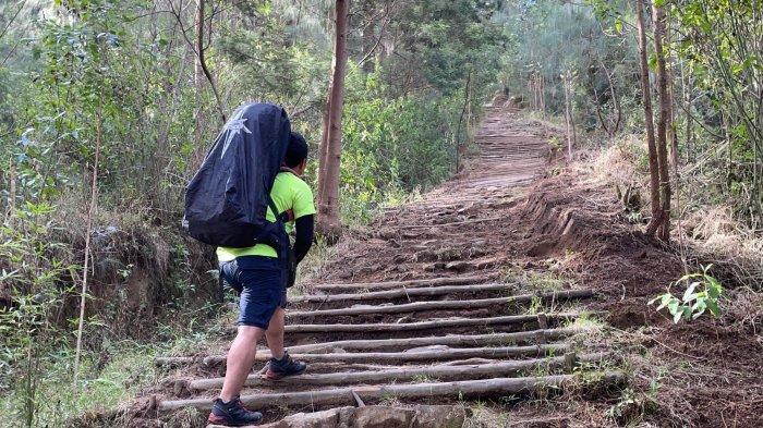 Jalur perjalanan dari Pos 1 menuju Pos 2 Gunung Sumbing via Kaliangkrik.