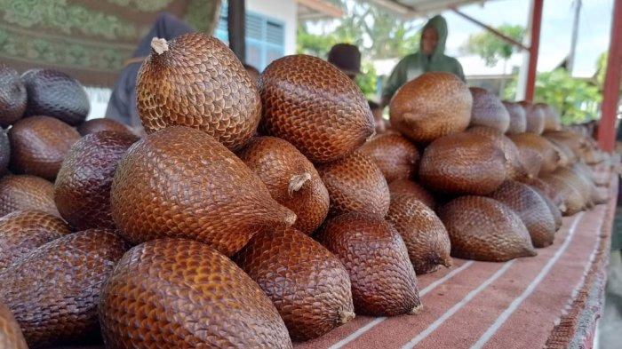Buah  Salak Bobo dijual di Kota Tidore Kepulauan, Rabu (1/2/2023).