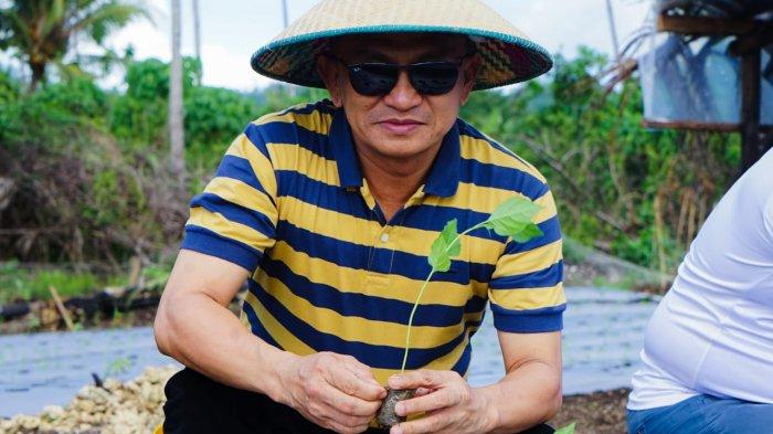 Pj Bupati Pulau Morotai, Muhammad Umar Ali, saat menanam komuditi  lokal di Desa Waringin, Morotai Selatan Barat, Minggu (14/1/2024).
