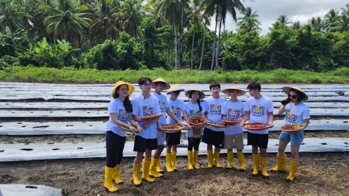 Ketua HKTI Provinsi Maluku Utara, Sherly Tjoanda bersama Komunitas CEK melakukan penanaman tanaman Hortikultura di Lokasi milik Sofyan Tomagola di Desa Pilowo, Jumat (30/6/2023)