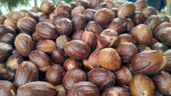 KOMODITAS: Biji pala kering di Kota Tidore Kepulauan, Maluku Utara