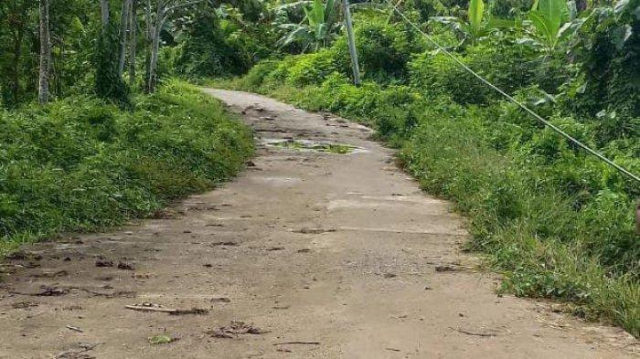 PROYEK: Jalan Rabat Beton Tabona-Peleng Pedodong di Pulau Taliabu terbengkalai. Anggarannya sebesar Rp 7 Miliar Lebih T.A 2023.