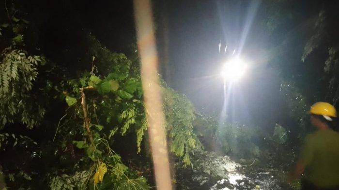 BENCANA: Pohon tumbang akibat tanah longsor sehingga menutupi akses jalan menuju Desa Saria, Kecamatan Jailolo, Halmahera Barat, Maluku Utara, Minggu (22/6/2025)