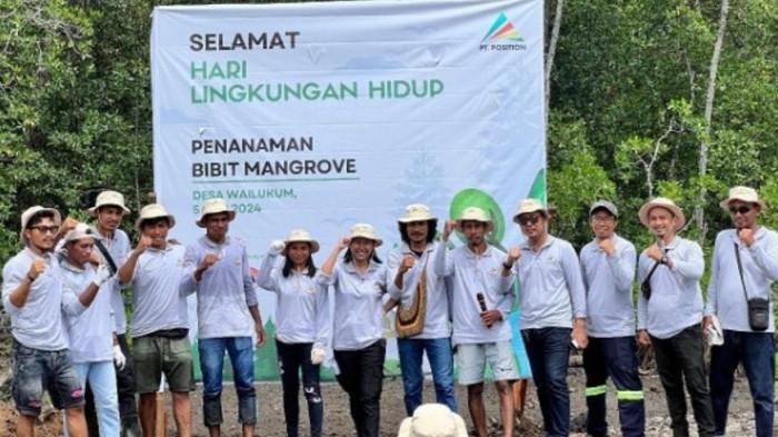 penanaman bibit mangrove