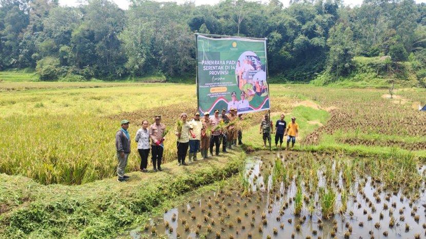 panen-raya-nonongan-toraja-utara-742025.jpg