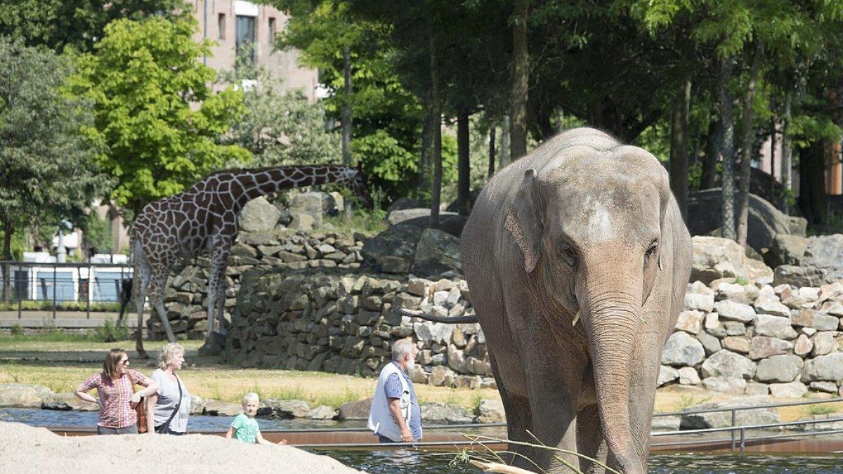 ARTIS Amsterdam Royal Zoom, satu tempat wisata di Amsterdam, Belanda.