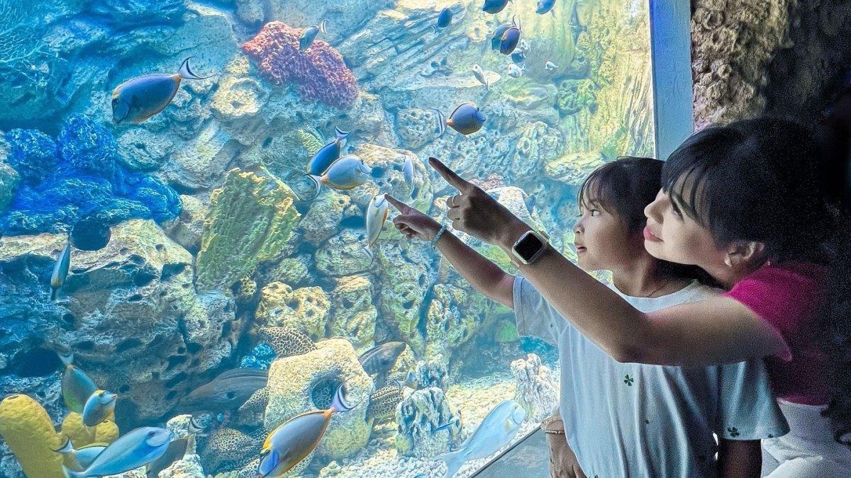 Sea World, satu tempat wisata di Ancol Jakarta yang bisa kamu kunjungi bareng anak saat libur sekolah.