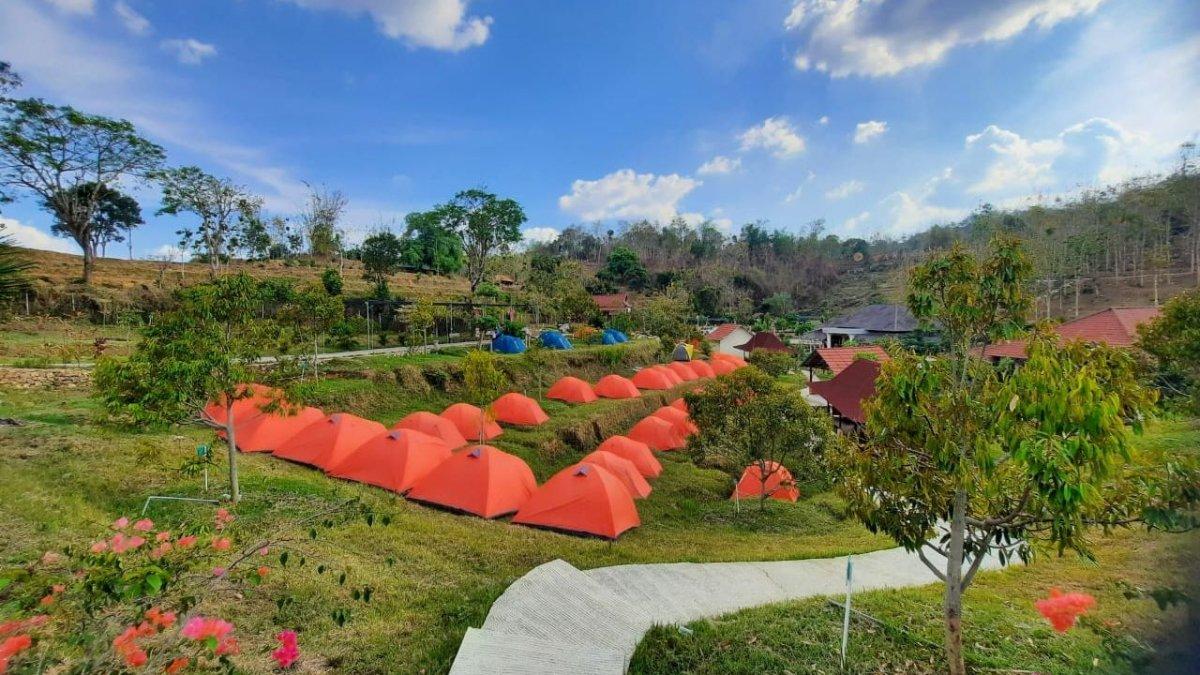 Ada fasilitas berkemah di Tanazawi Edupark, Tuban, Jawa Timur.